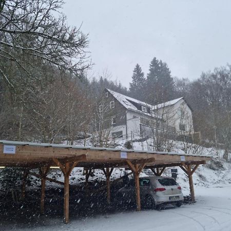 Ferienwohnung Schneeberg Willingen  Exterior foto