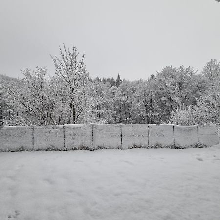 Ferienwohnung Schneeberg Willingen  Exterior foto