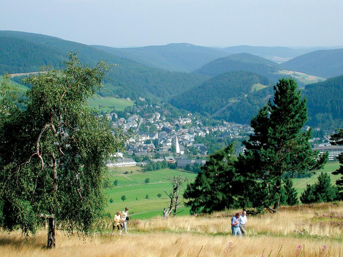 Ferienwohnung Schneeberg Willingen  Exterior foto