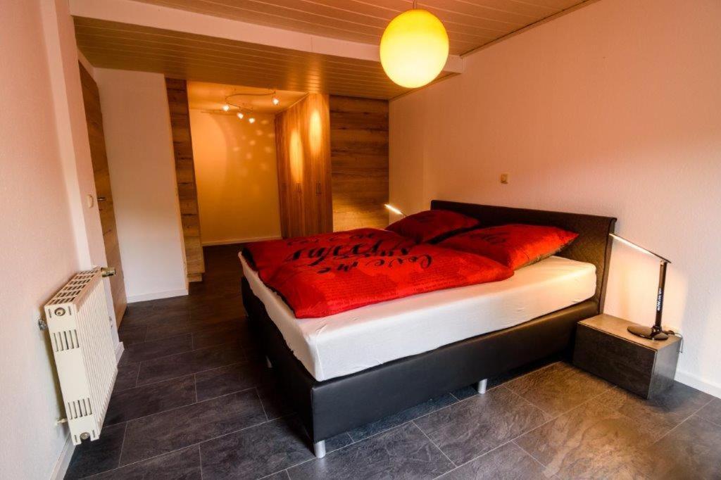 Ferienwohnung Schneeberg Willingen  Exterior foto