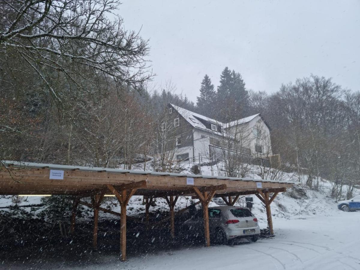 Ferienwohnung Schneeberg Willingen  Exterior foto
