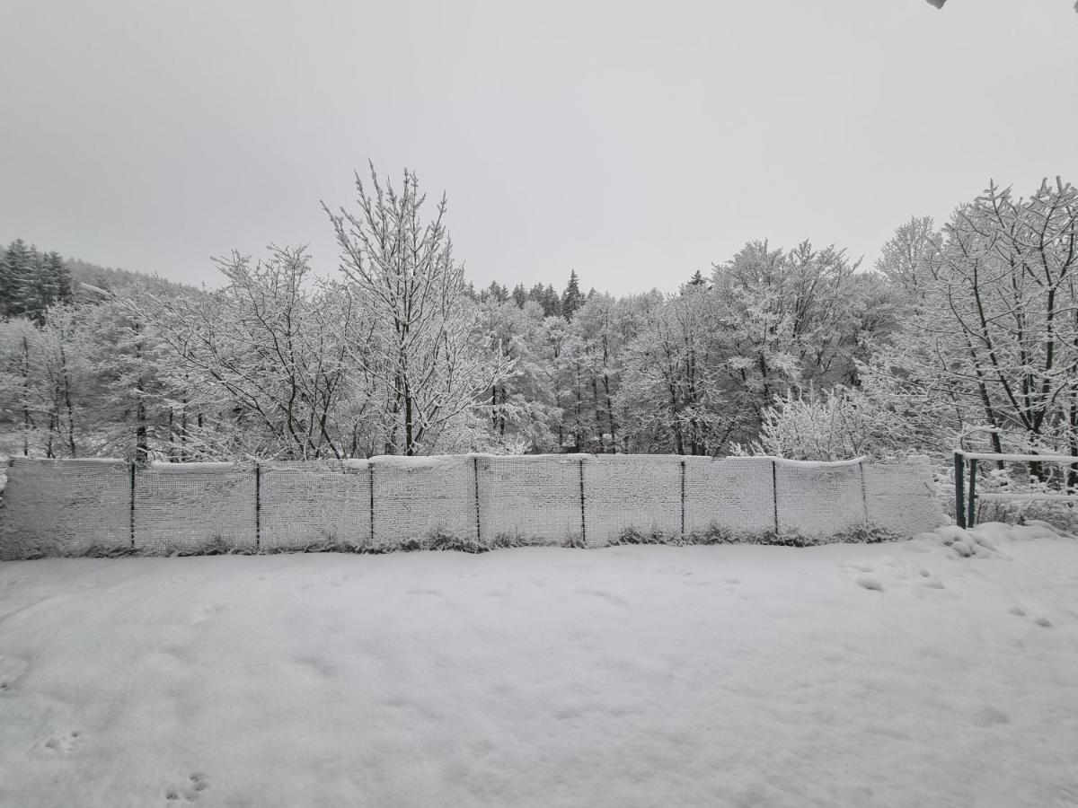 Ferienwohnung Schneeberg Willingen  Exterior foto